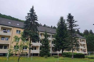 Wohnung mieten in 09623 Rechenberg-Bienenmühle, Perfekte Familienwohnung! Zwei Tageslichtbäder, zwei Balkone, grüne Lage!