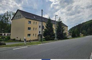 Wohnung mieten in 09623 Rechenberg-Bienenmühle, Perfekte Familienwohnung! Zwei Tageslichtbäder, zwei Balkone, grüne Lage!