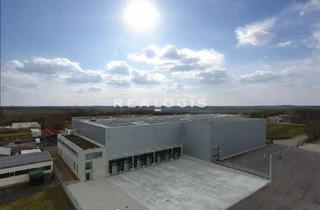 Gewerbeimmobilie mieten in 72172 Sulz, Attraktiver Logistikneubau an der A81 zu vermieten!