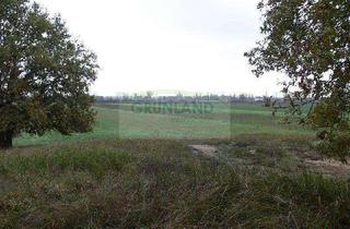 Grundstück zu kaufen in 16303 Schwedt/Oder, *Ackerfläche zu verkaufen!*