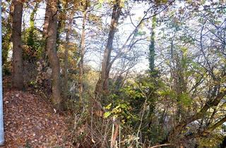 Grundstück zu kaufen in 75217 Birkenfeld, Hanggrundstück mit 8a70qm Grundstücksgrösse und Fernblick in Pforzheim-Birkenfeld