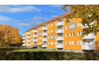 Wohnung mieten in Neschwitzer Straße 5d, 01917 Kamenz, SCHNELL SEIN! NEU-RENOVIERTE 2-RAUMWOHNUNG plus 300,00 € Gutschrift