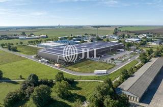 Gewerbeimmobilie mieten in 39240 Calbe, Logistikimmobilie an der A 14 südlich von Magdeburg I WGK I Prov-Frei mieten