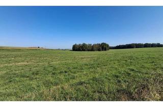 Grundstück zu kaufen in 83543 Rott, Wiesengrundstück zu verkaufen - Gde. Rott am Inn