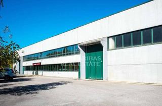 Gewerbeimmobilie mieten in 04758 Oschatz, Logistikzentrum im Herzen von Sachsen - nahe der BAB 14