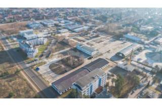Gewerbeimmobilie kaufen in 03044 Schmellwitz, Exklusives Gewerbegrundstück im Norden von Cottbus - eine erstklassige Investitionsmöglichkeit!