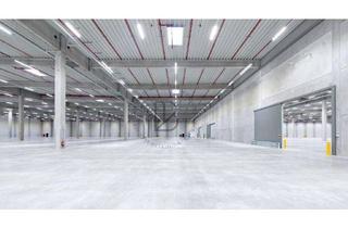 Gewerbeimmobilie mieten in 07629 Hermsdorf, "BAUMÜLLER AG" - ca. 15.000 Lagerhalle - Rampe / ebenerdig