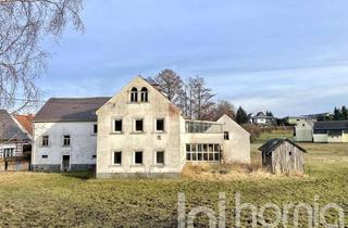 Haus kaufen in 01896 Pulsnitz, Mehrgenerationenwohnen auf großem Grundstück in ruhiger Lage am Rande von Pulsnitz!