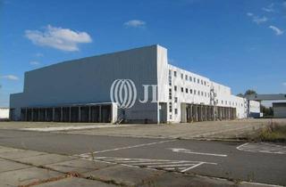 Gewerbeimmobilie mieten in 13599 Haselhorst, Logistikflächen in Top Lage