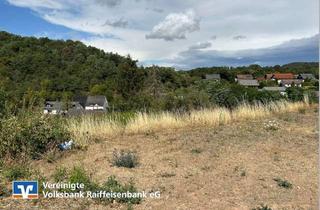 Grundstück zu kaufen in 55767 Nohen, Bauplatz in Nohen