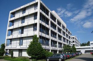 Büro zu mieten in Agnes-Pockels-Straße, 63457 Hanau, Bürofläche ab 15 m² provisionsfrei zu vermieten