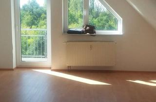 Wohnung mieten in Gnetscher Straße 13, 06369 Weißandt-Gölzau, 2-Raum-DG-Wohnung in gepflegtem Mehrfamilienhaus mit Blick ins Grüne