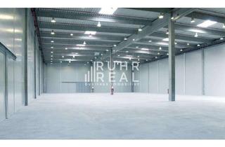 Gewerbeimmobilie mieten in 48455 Bad Bentheim, Moderne Logistikfläche an der A30 | Grenze Niederlande | Rampen | RUHR REAL