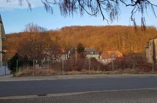Grundstück zu kaufen in 01705 Freital, Großes BGS in sehr guter Lage von Freital zu vekraufen!