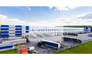 Gewerbeimmobilie mieten in 67346 Neuland, Provisionsfreie Projektentwicklung in Speyer | 43.000 m² Hallenfläche | ab sofort