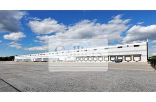 Gewerbeimmobilie mieten in 67105 Schifferstadt, Provisionsfreie Projektentwicklung in Schifferstadt | 43.000 m² Hallenfläche | ab sofort