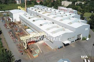 Gewerbeimmobilie mieten in 01979 Lauchhammer, Produktions- und Lagerflächen nahe der A13