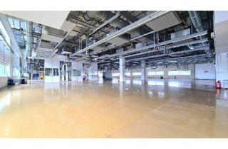 Büro zu mieten in 09599 Freiberg, Neuwertige - ca. 1.600 m² große - Produktionsfläche mit Büro in Freiberg zur Miete!