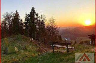 Grundstück zu kaufen in 59955 Winterberg, Baugrundstück am Waldrand, ideal für Familien und Naturliebhaber, nahe Winterberg