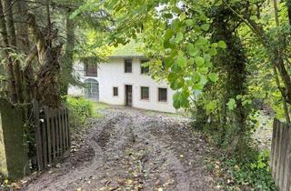 Haus kaufen in 54310 Ralingen, Nur als Ferienwohnsitz: Ehemaliges Mühlengebäude in Alleinlage mit angrenzendem Waldgrundstück in Ralingen - Grenze zu Luxemburg.