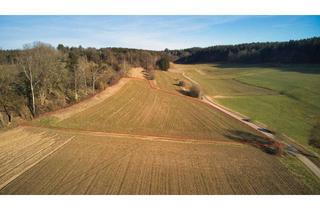 Grundstück zu kaufen in 88483 Burgrieden, Auch für Nicht-Landwirte! Ertragsreiches Ackerland in gesuchter Lage