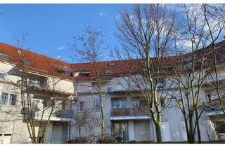 Wohnung kaufen in 76829 Landau (Stadt), Attraktive Kapitalanlage in Landau