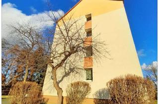 Wohnung mieten in Albrecht-Dürer-Straße 20, 04916 Herzberg, Gemütliche Ein-Raum-Wohnung in Herzberg