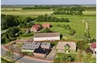 Haus kaufen in 25870 Oldenswort, Halbinsel Eiderstedt: Solides Reetdachhaus mit großem Nebengebäude ! Optional Hallenzukauf möglich !