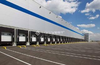 Gewerbeimmobilie mieten in 67269 Grünstadt, Ca. 20.000 m² projektierte Lager- und Logistikfläche - sehr verkehrsgünstig an der A6 gelegen!