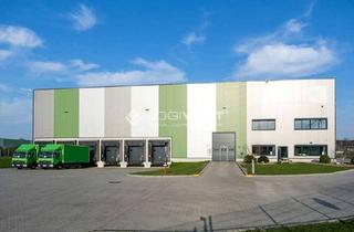 Gewerbeimmobilie mieten in 64584 Biebesheim, Ca. 4.000 m² Lager-/Logistikfläche verkehrsgünstig nahe der A67 gelegen!