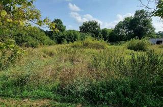 Grundstück zu kaufen in 15328 Alt Tucheband, Ruhiges Grundstück mit viel Grün zum Entspannen!!!