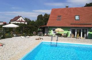 Einfamilienhaus kaufen in 04651 Bad Lausick, Bad Lausick - Modernes Haus mit großem Garten