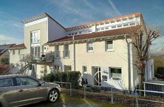 Wohnung kaufen in 59757 Arnsberg, / Frisch renovierte Single-Wohnung in beliebter Wohnlage!