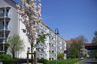 Wohnung mieten in Am Steinhof 44, 04808 Wurzen, Sehr schöne 3 Zimmer im Erstbezug, für Paare und Familien.