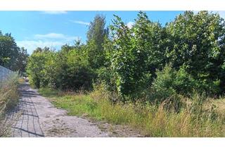 Gewerbeimmobilie kaufen in Prinz-Louis-Ferdinand-Straße 999, 07318 Saalfeld, Grundstück in Saalfeld zu verkaufen