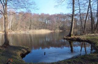 Gewerbeimmobilie kaufen in 16798 Fürstenberg/Havel, Wohnen am See! Auch als Kapitalanlage geeignet.