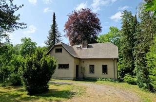 Einfamilienhaus kaufen in 04821 Brandis, Waldsteinberg – Idyllisches Grundstück mit Einfamilienhaus zum Verkauf