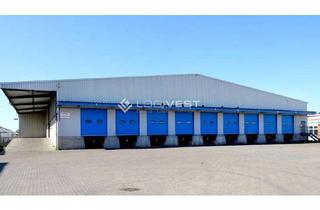 Gewerbeimmobilie mieten in 67269 Grünstadt, Ca. 6.000 m² Lagerhalle unmittelbar an der A6 gelegen!