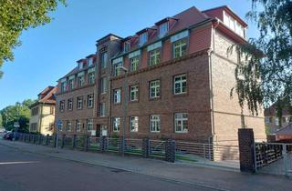 Wohnung mieten in Niemegker Straße, 06749 Bitterfeld-Wolfen, Wohnen in Seenähe - moderne und lichtdurchflutete Wohnung als Ihr neues Zuhause!