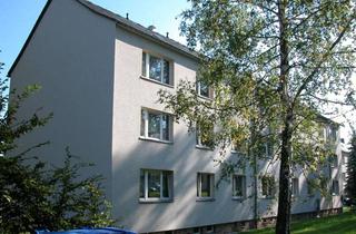 Wohnung mieten in Hans-Beimler-Ring 18, 09496 Marienberg, Helle 2-Raum-Wohnung im Hochparterre