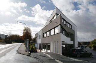Gewerbeimmobilie mieten in Hunsückstraße 2a, 56410 Montabaur, Luxuriöse Büroetage mit Dachterrasse