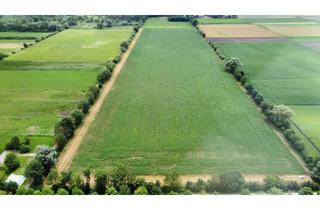 Gewerbeimmobilie kaufen in 85737 Ismaning, Ackerfläche in Ismaning