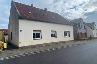 Einfamilienhaus kaufen in 03253 Doberlug-Kirchhain, Doberlug-Kirchhain - Einfamilienhaus in Schönborn