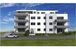 Wohnung kaufen in 74206 Bad Wimpfen, Moderne Erdgeschosswohnung mit Terrasse in barrierefreiem Neubau