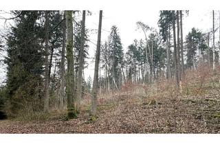 Gewerbeimmobilie kaufen in 91249 Weigendorf, Hobby Wald – Brennholzlieferant – Ausgleichsfläche