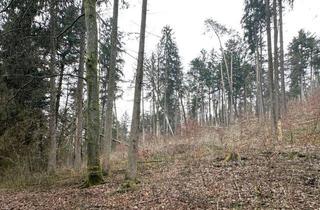 Grundstück zu kaufen in 91249 Weigendorf, Hobby Wald – Brennholzlieferant – Ausgleichsfläche