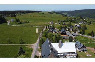Mehrfamilienhaus kaufen in 09623 Rechenberg-Bienenmühle, Ein Objekt für Ferienwohnungen in Traumhafter Lage