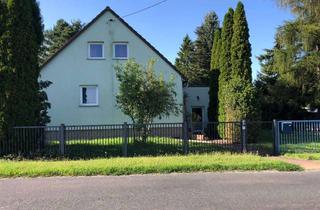 Einfamilienhaus kaufen in 06188 Landsberg, Saniertes Einfamilienhaus inkl. Einbauküche mit kleinem Pool, Außenküche in Landsberg