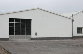 Büro zu mieten in 76703 Kraichtal, Produktionshalle mit Lagerhalle inkl. Bürobereich in Kraichtal - Münzesheim zu vermieten !