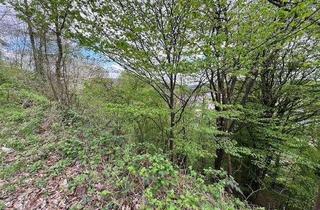 Grundstück zu kaufen in 97816 Lohr, ***Baugrundstück 1.595 m² in Hanglage mit Blick über Lohr ***